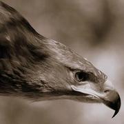 Steven19960709的个人资料头像