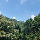 锦鲤传头像