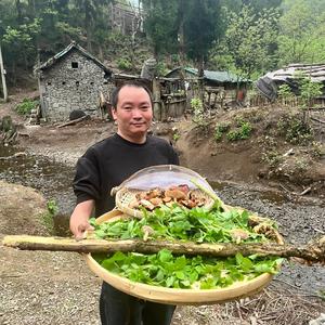 大山深处的星哥