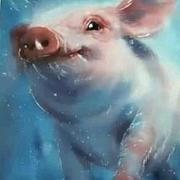 Tajang的个人资料头像