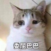 闲人小吴的个人资料头像