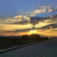 用户6263314013719头像