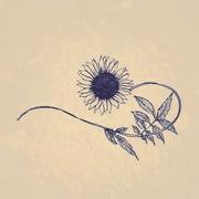 十画左脑简单的个人资料头像