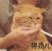 小贼别跑的个人资料头像
