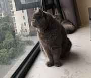 嘚嘚嘚嘚的个人资料头像