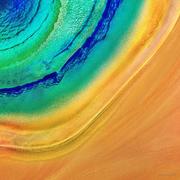 some的个人资料头像