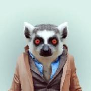 db85a60d419211e983ee5b4f614eb33d的个人资料头像