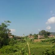 前端技术的搬运工的个人资料头像