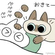 入出的个人资料头像