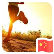 Wolfe的个人资料头像