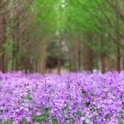 五边形惯蛋的个人资料头像
