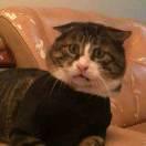 向明月的个人资料头像