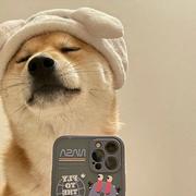 Alone丶的个人资料头像