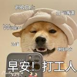 广州安骅凯迪Burak头像