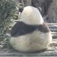 晓阿萨 · 领克03车主·车龄2年头像