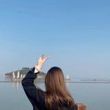 小牛的明天头像