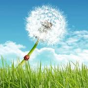 thetruththatyouleave的个人资料头像