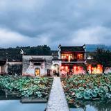 绝对可靠狗头像