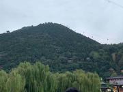 ZXS的个人资料头像