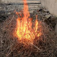 你晓得个莫事头像