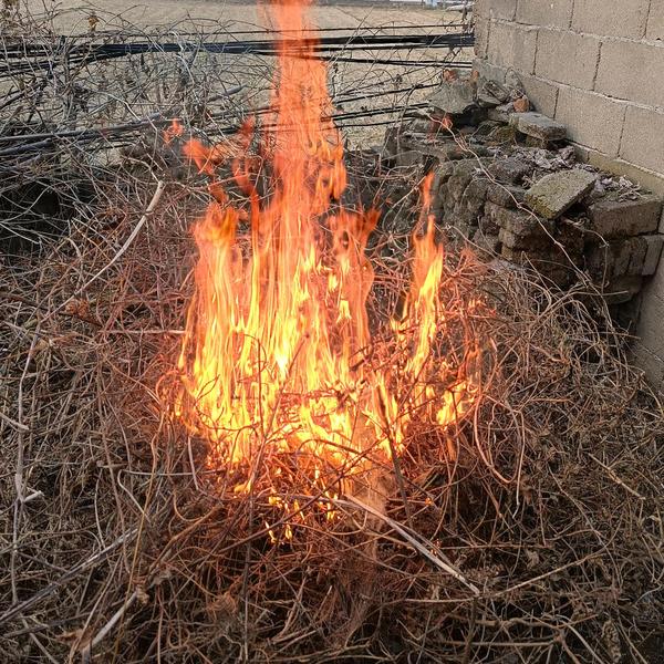 你晓得个莫事头像