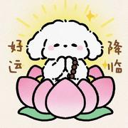 项目管理喵的个人资料头像