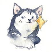 文艮的个人资料头像