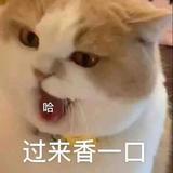 ArnoKK头像