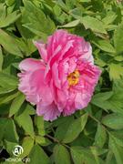 用户6613395246085的个人资料头像