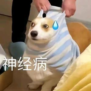 茉香奶绿头像