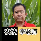 运筹帷幄孔雀JR头像