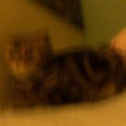 宫保鸡丁2的个人资料头像