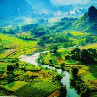 非凡清泉em头像