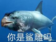 瞧着树结果的个人资料头像