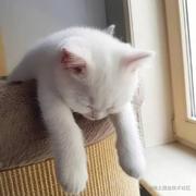 LandM的个人资料头像