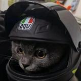 人生实况头像