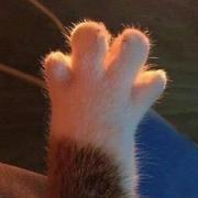 Ink的个人资料头像