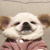我有一个小汽车头像