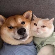 BLUE101的个人资料头像