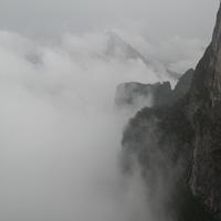 俊逸看世界头像
