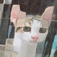 拿铁爱喝咖啡头像