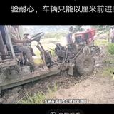 唐义如头像