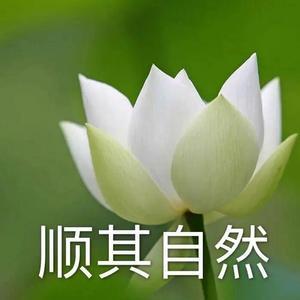 KPOP現場舞台合集头像