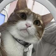 切图大师lul的个人资料头像