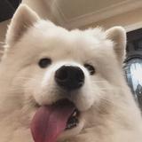 用户4924550176663头像