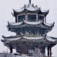 一念春风风头像