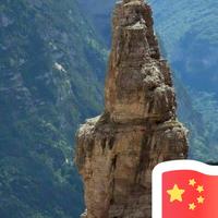 顽强海风t头像