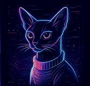 大腾鱼的个人资料头像