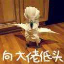 404本尊45031的个人资料头像