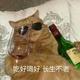 路西法的权杖 · 长安欧尚Z6 iDD新能源车主·车龄2年头像